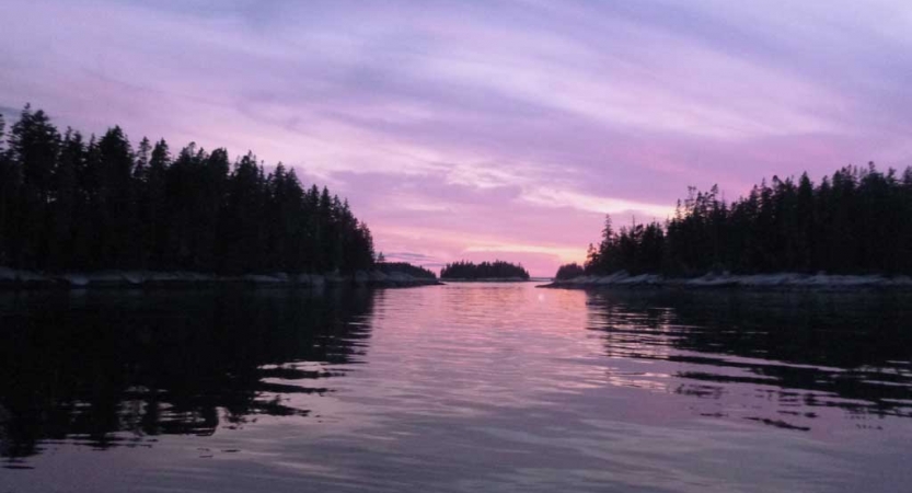 The sky appears in gentle colors above trees and a body of water. 